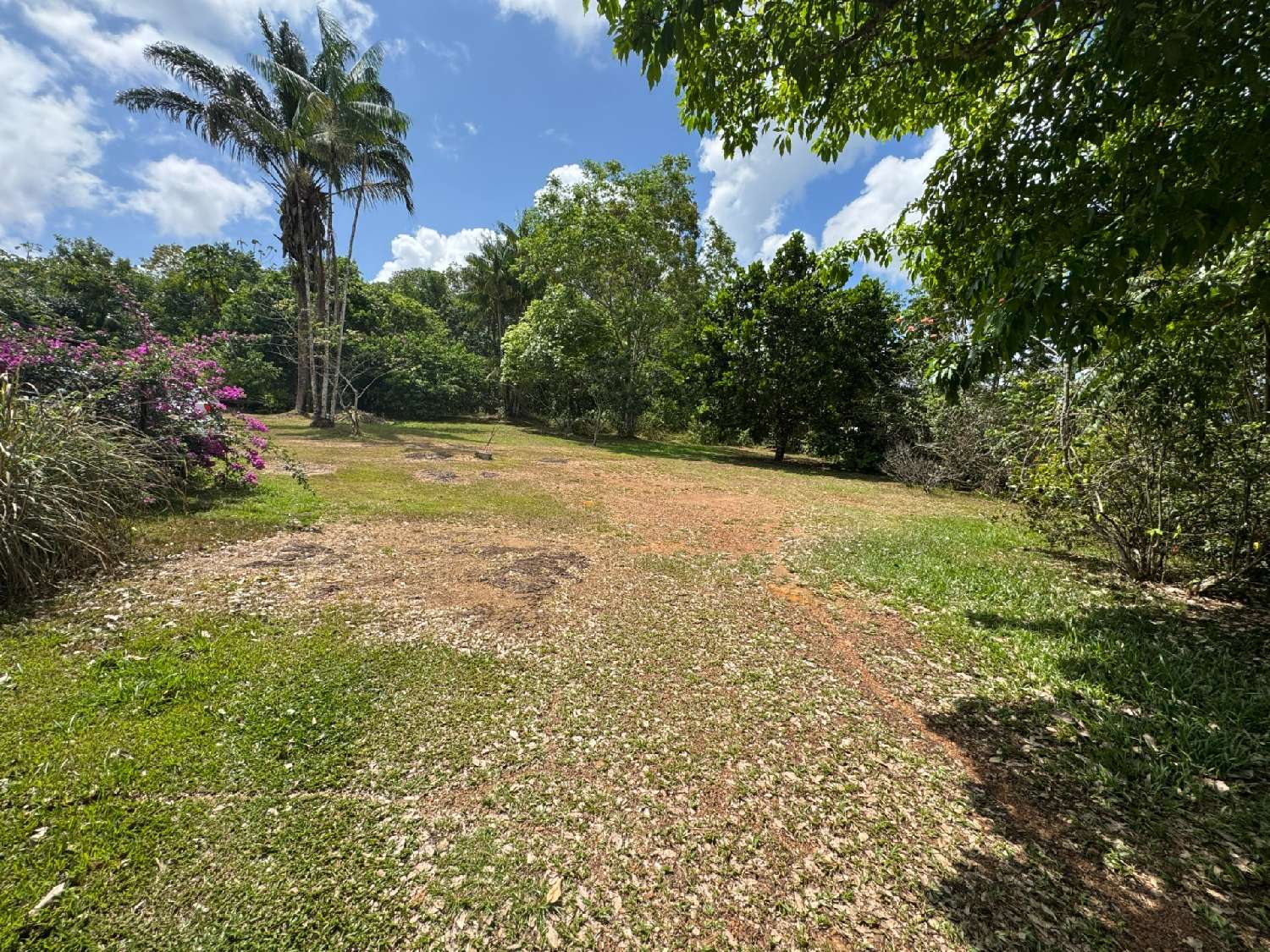 à vendre terrain Matoury Guyane 1