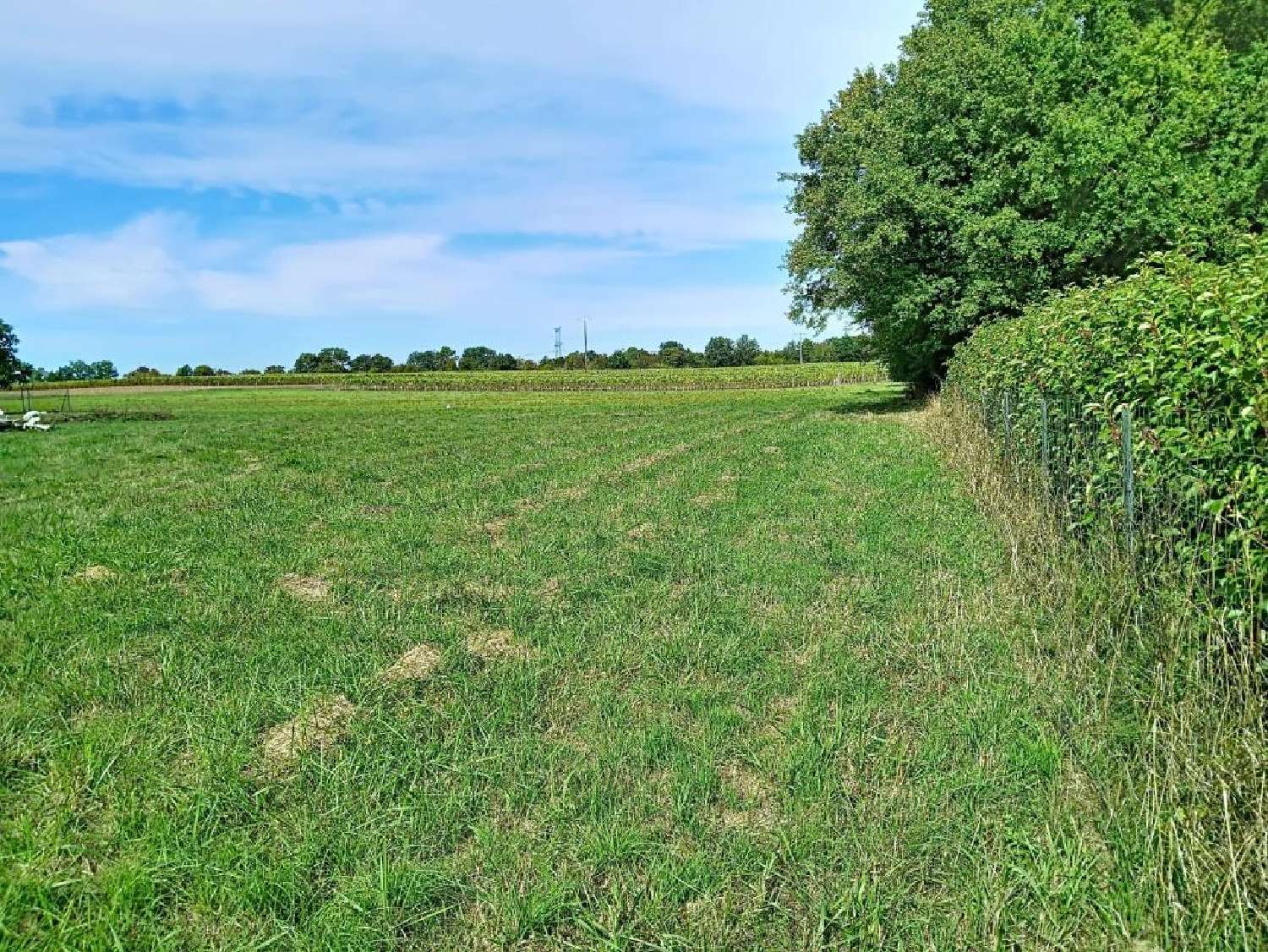  à vendre terrain Mazerolles Charente-Maritime 2