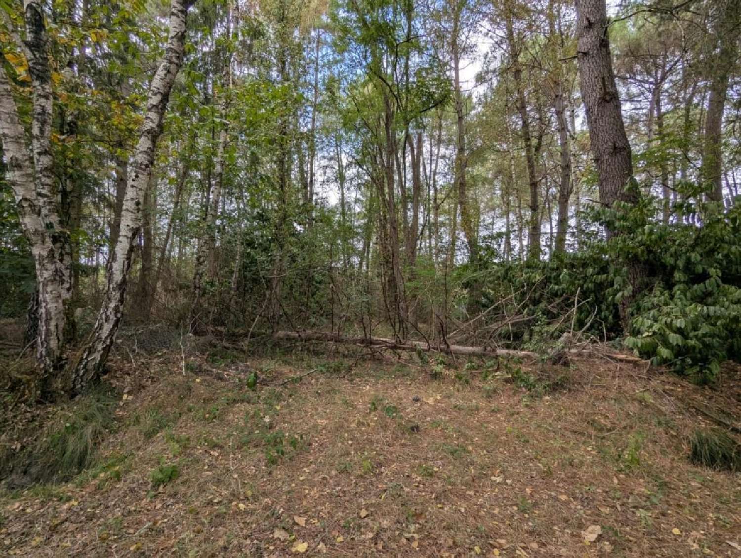 for sale terrain Mézeray Sarthe 8