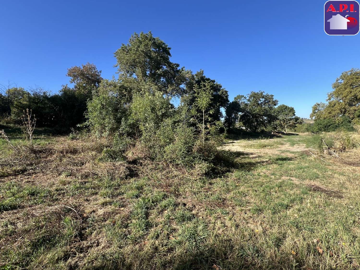 kaufen Grundstück Monestrol Haute-Garonne 4