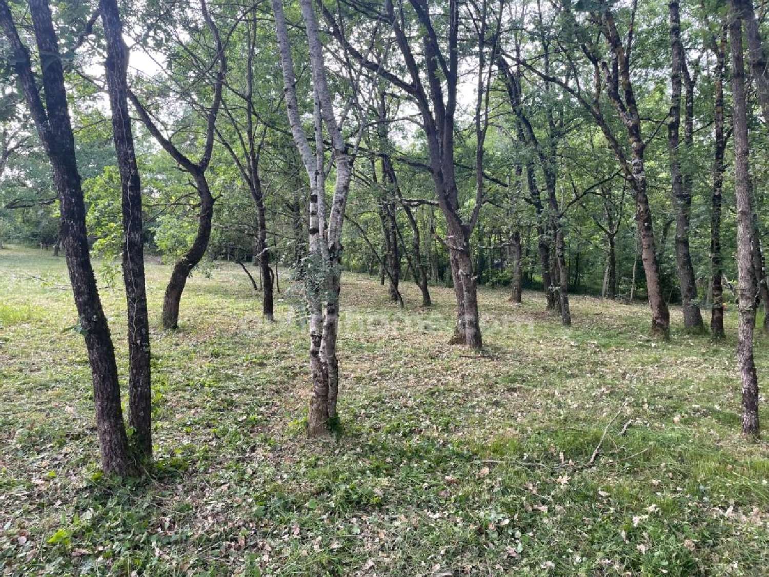  en venta terreno Montaigut-sur-Save Haute-Garonne 1