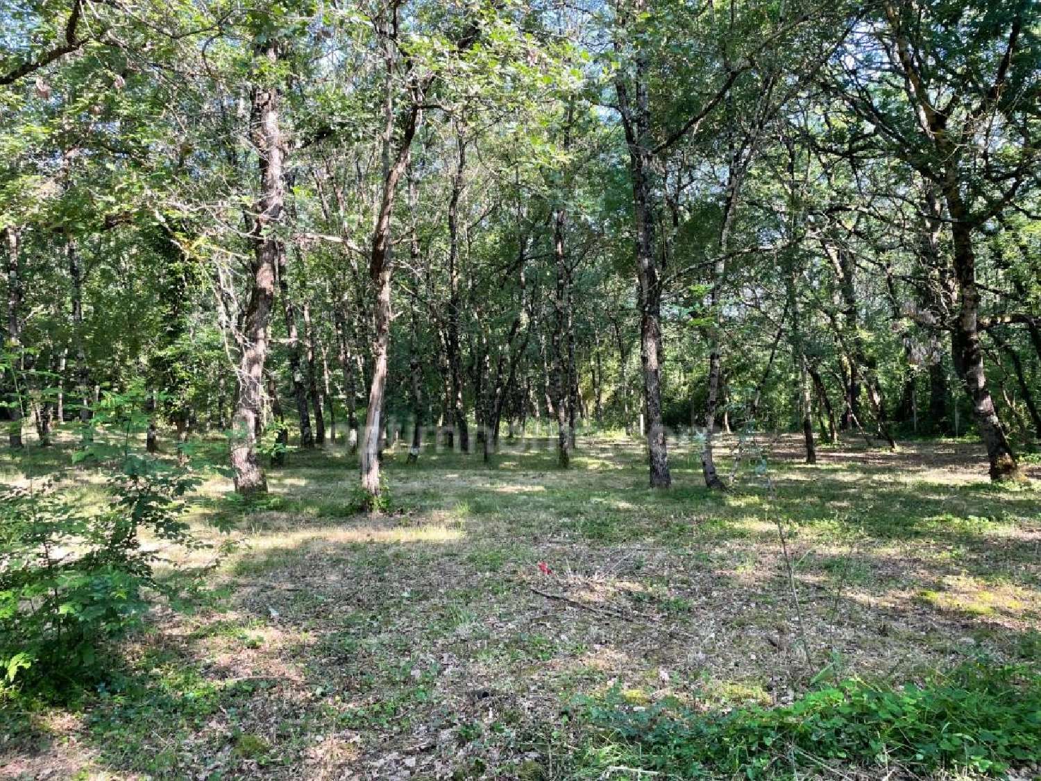  en venta terreno Montaigut-sur-Save Haute-Garonne 2