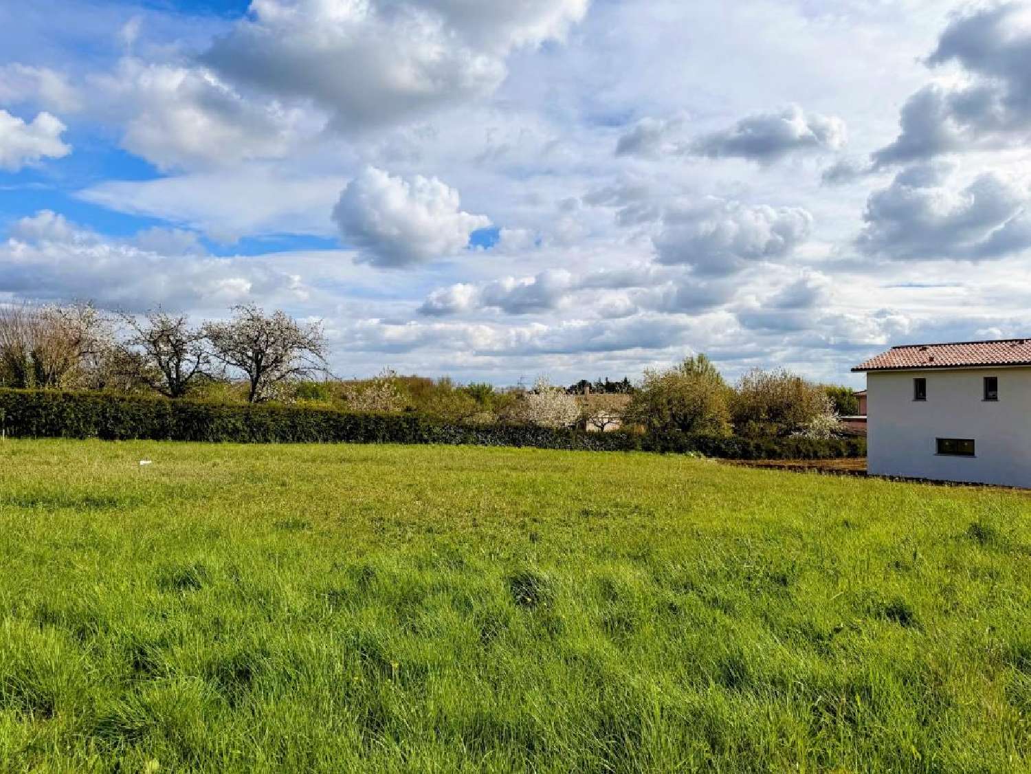  à vendre terrain Montastruc-la-Conseillère Haute-Garonne 2