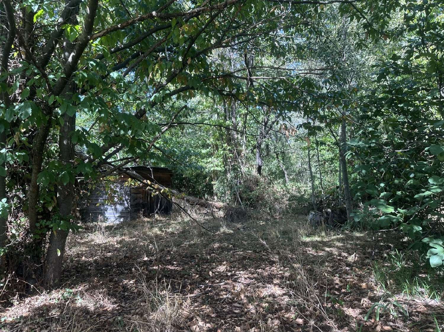 à vendre terrain Montgaillard Ariège 1