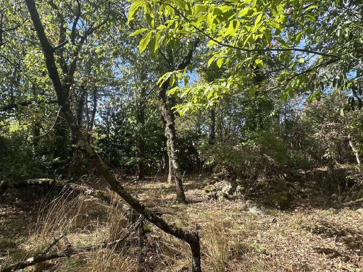 à vendre terrain Montgaillard Ariège 5