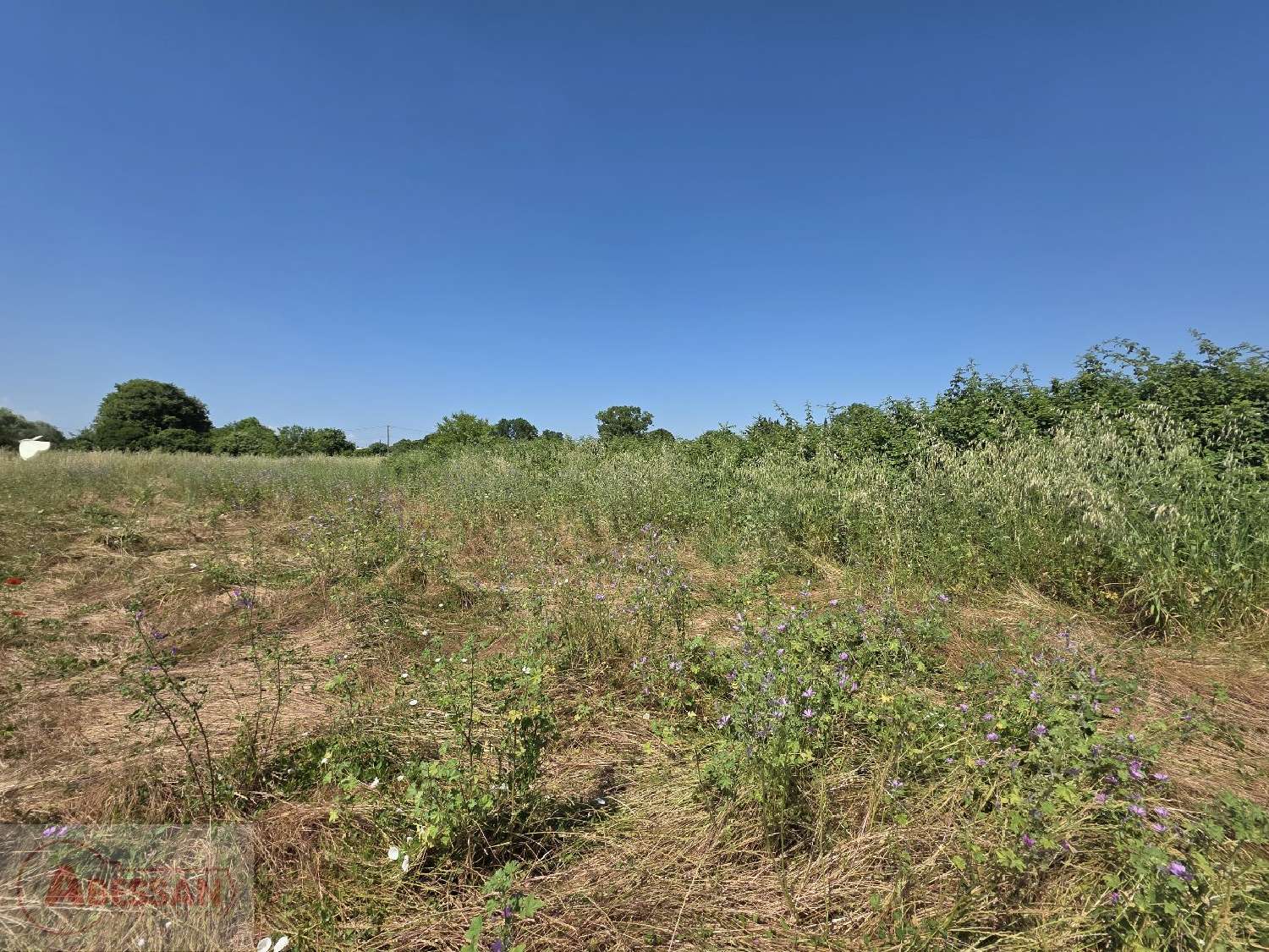  for sale terrain Nîmes Gard 5