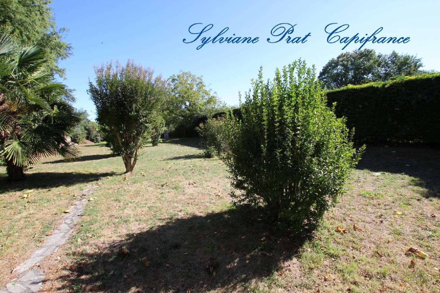  à vendre terrain Nousty Pyrénées-Atlantiques 2