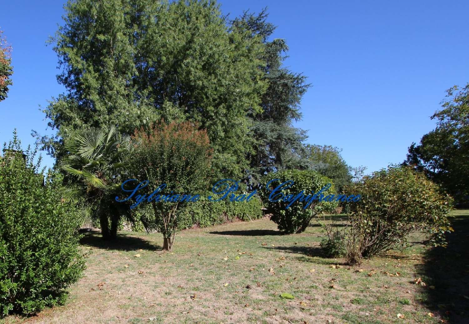  à vendre terrain Nousty Pyrénées-Atlantiques 3