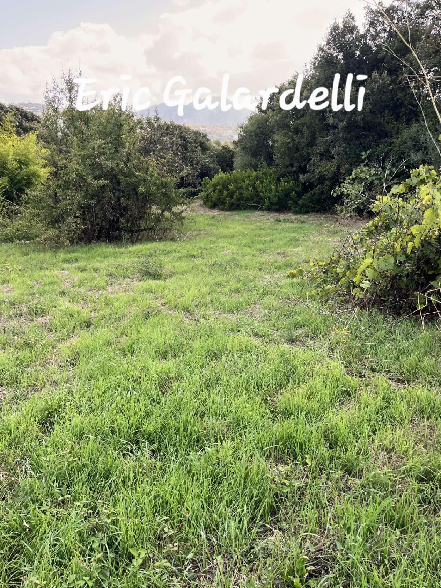  en venta terreno Olmeto Corse-du-Sud 3