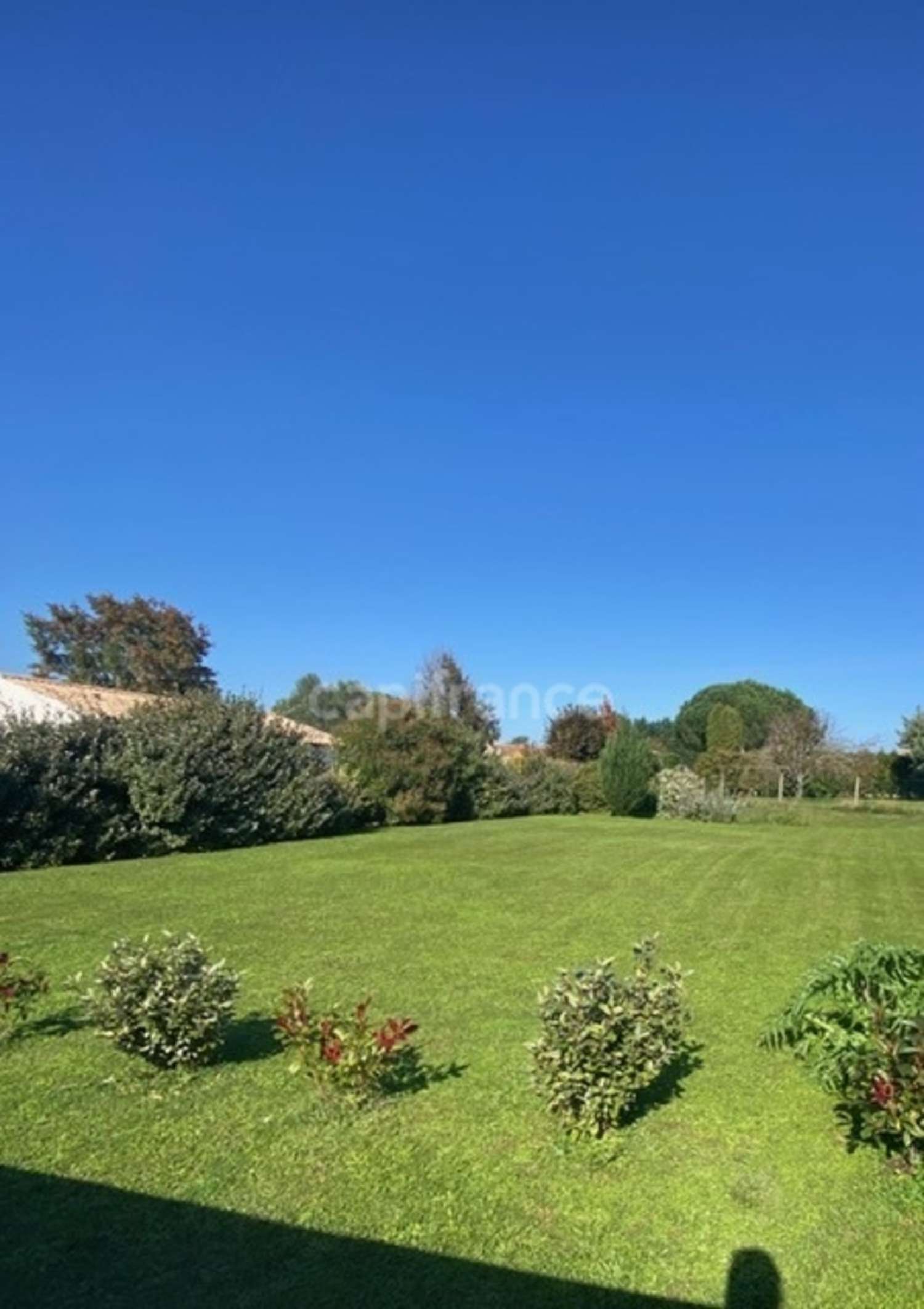  for sale terrain Pessines Charente-Maritime 1