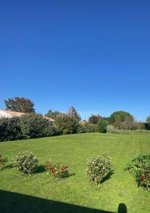 Pessines Charente-Maritime terrain foto 7403849