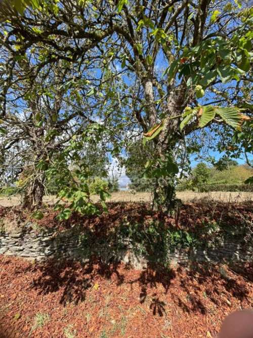 Ploërmel Morbihan Grundstück Bild 7409920