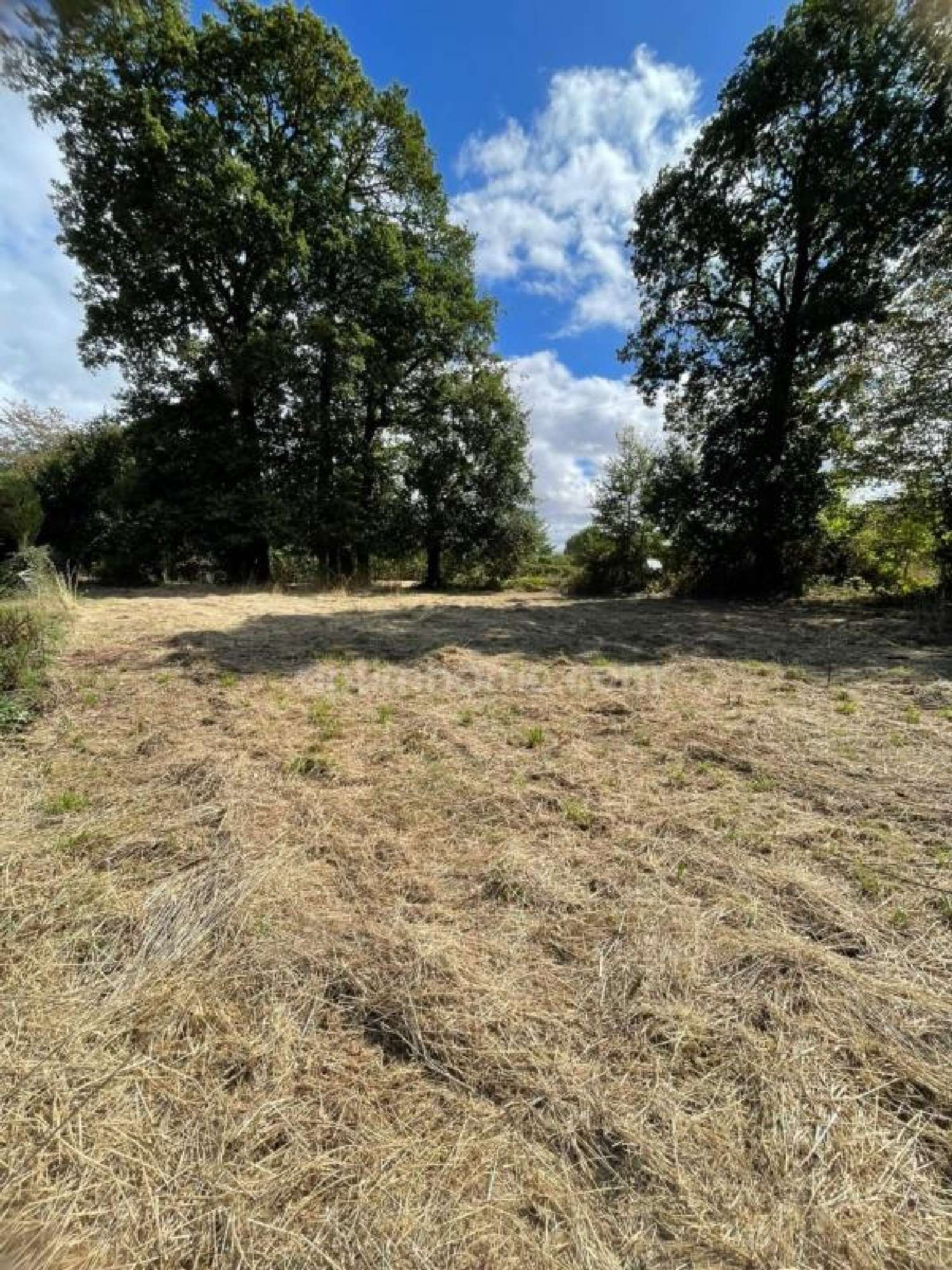 kaufen Grundstück Ploërmel Morbihan 7