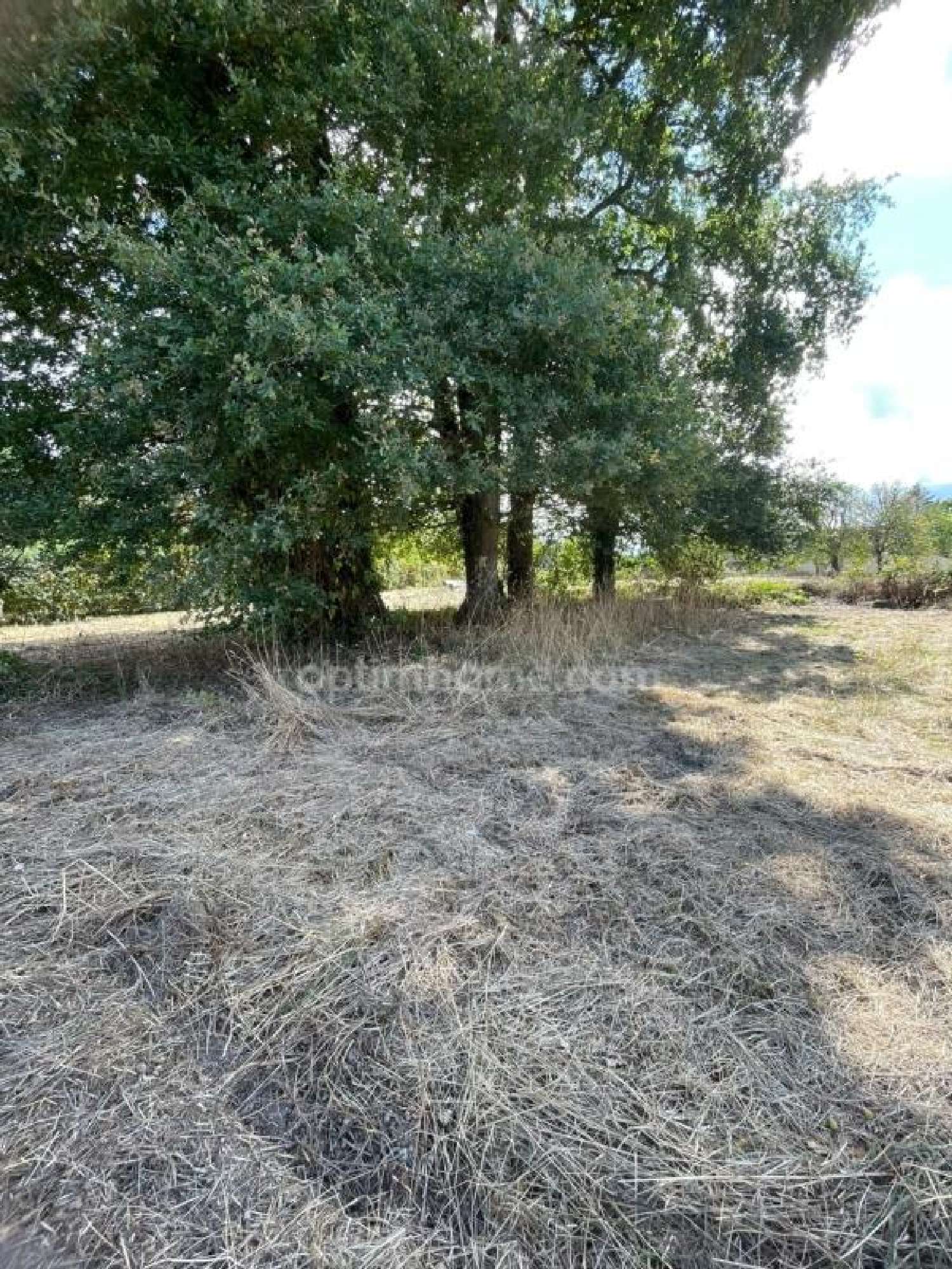 kaufen Grundstück Ploërmel Morbihan 5