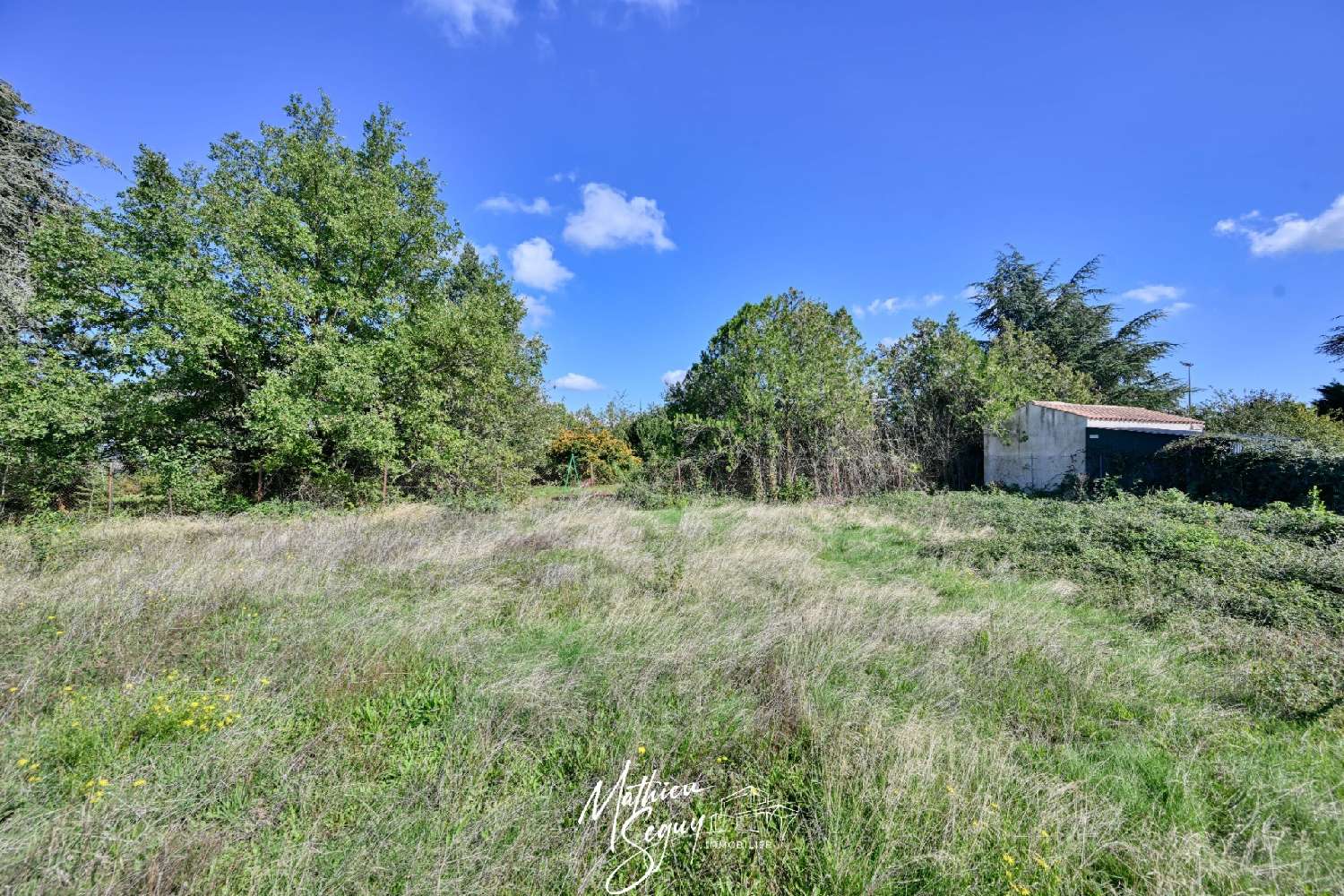  à vendre terrain Pollionnay Rhône 5