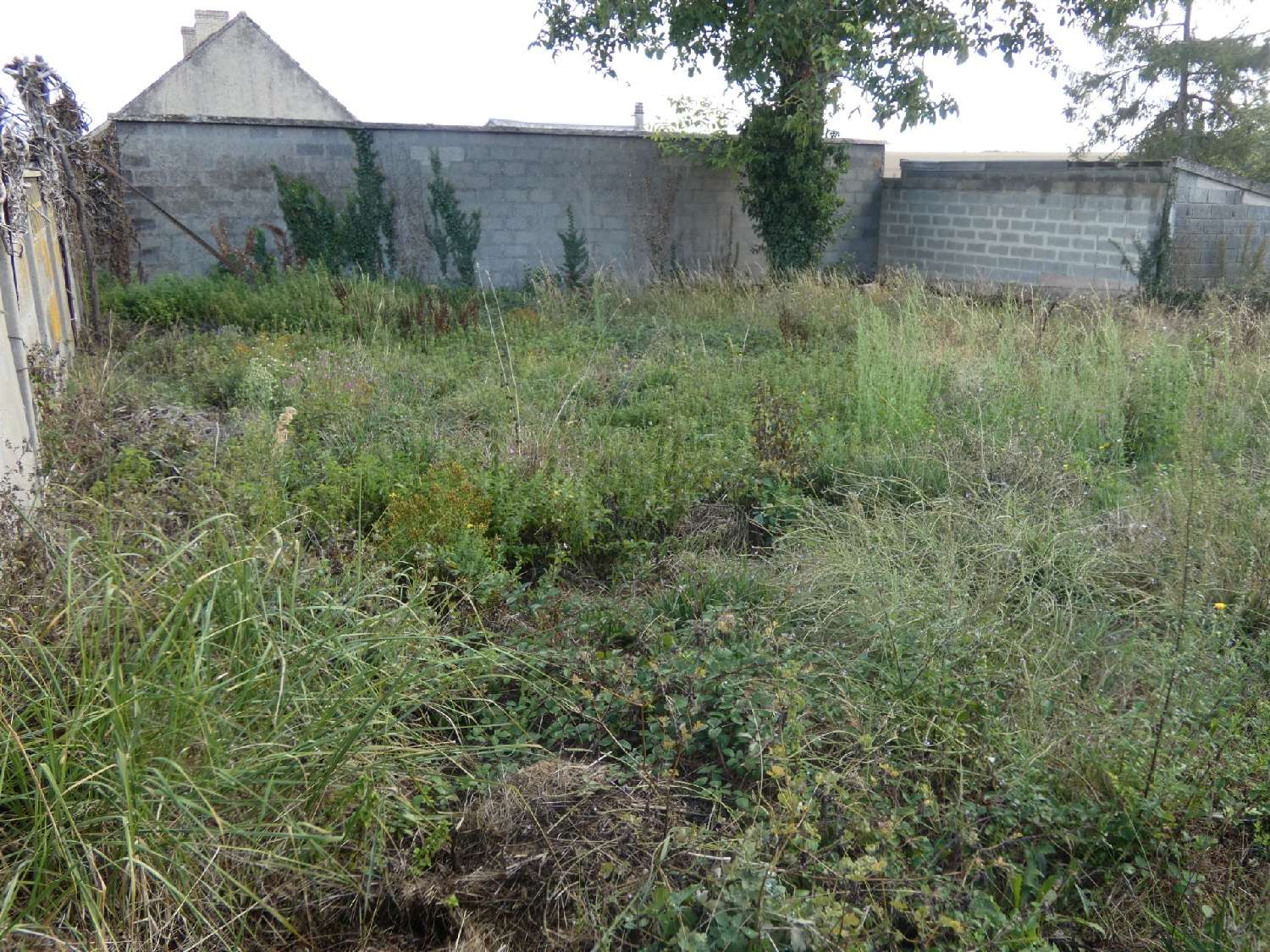  for sale terrain Potigny Calvados 3