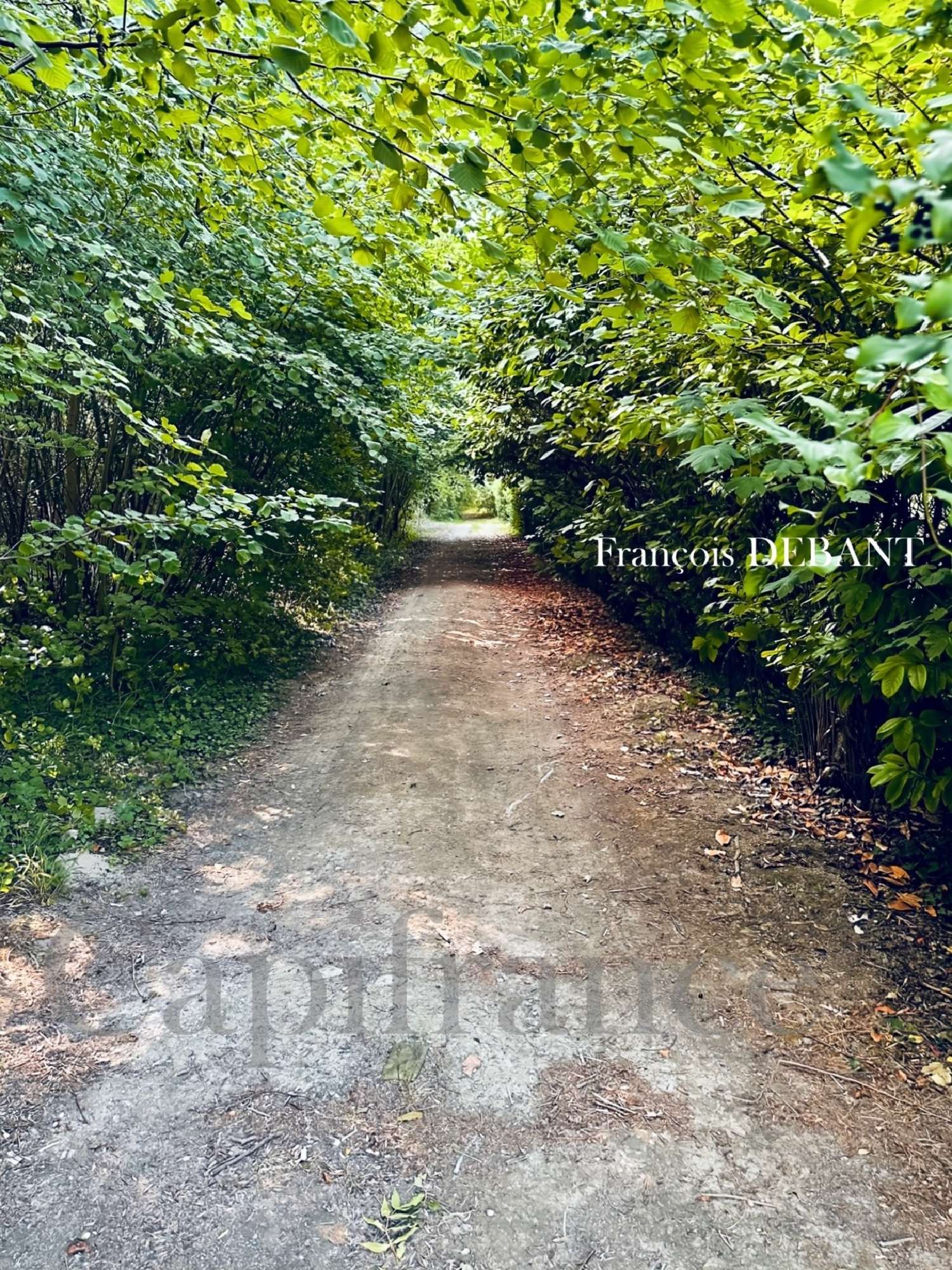  for sale terrain Reims Marne 1