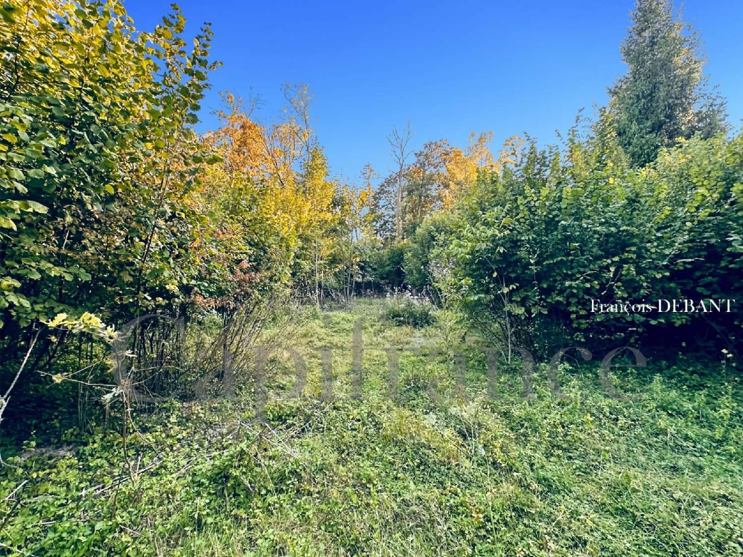 for sale terrain Reims Marne 8