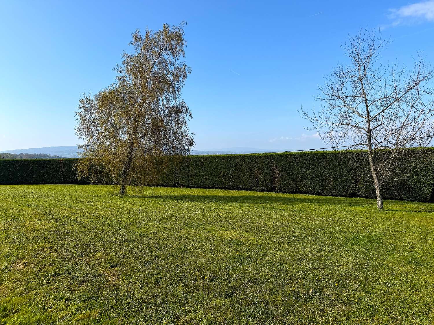  kaufen Grundstück Reyrieux Ain 1