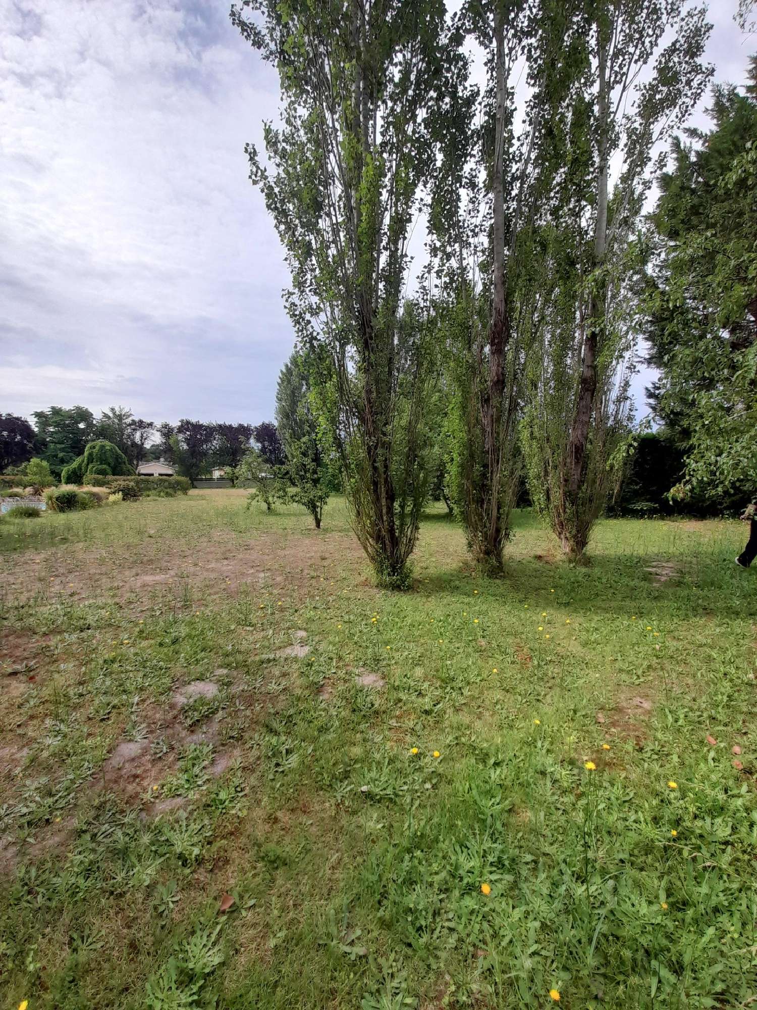 te koop terrein Saint-André-de-Cubzac Gironde 3