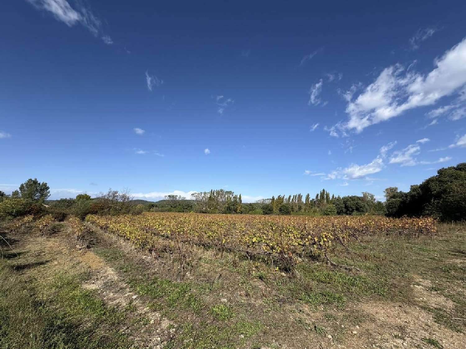 en venta terreno Saint-Césaire Gard 2