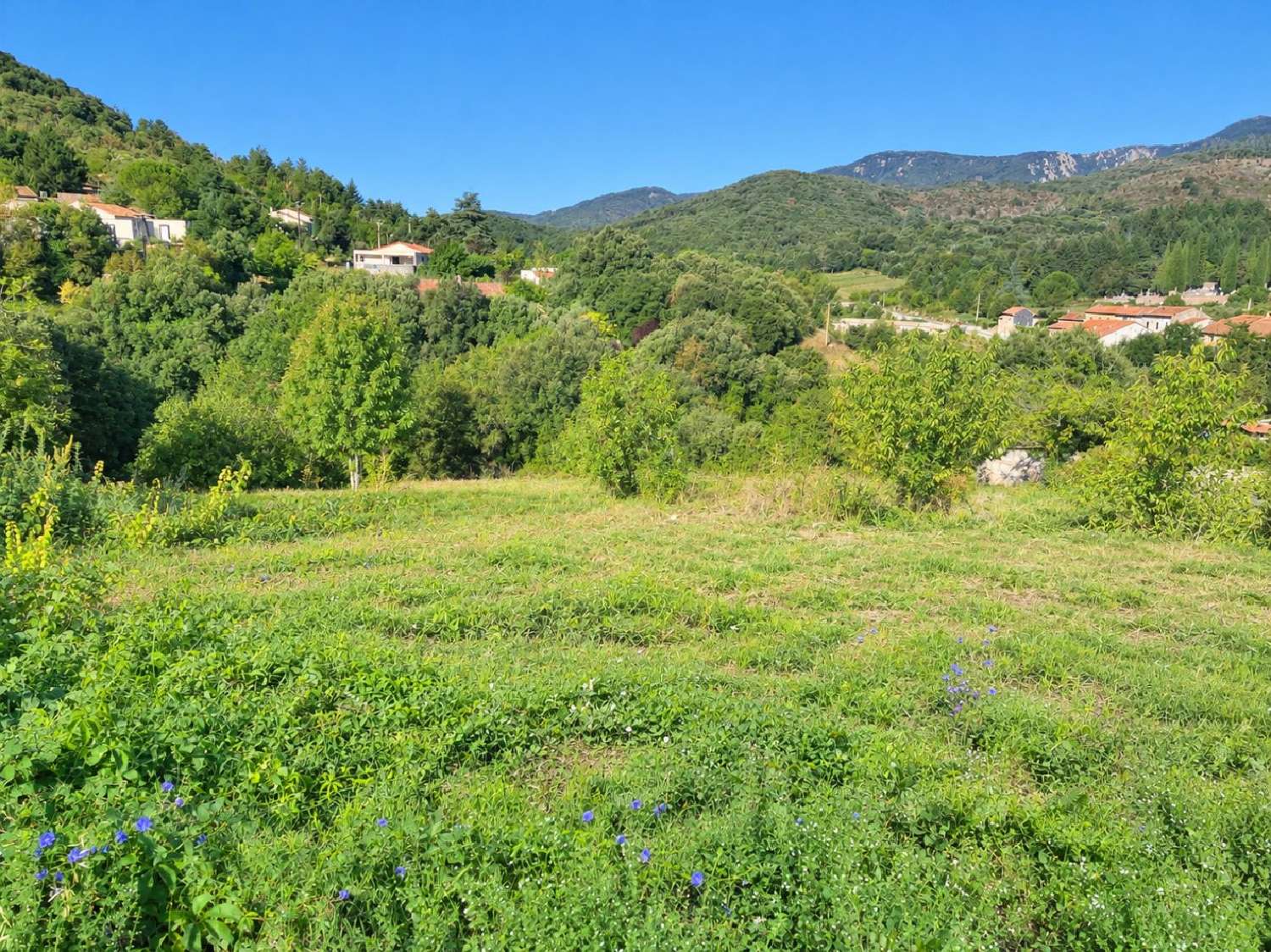  à vendre terrain Saint-Étienne-d'Albagnan Hérault 3