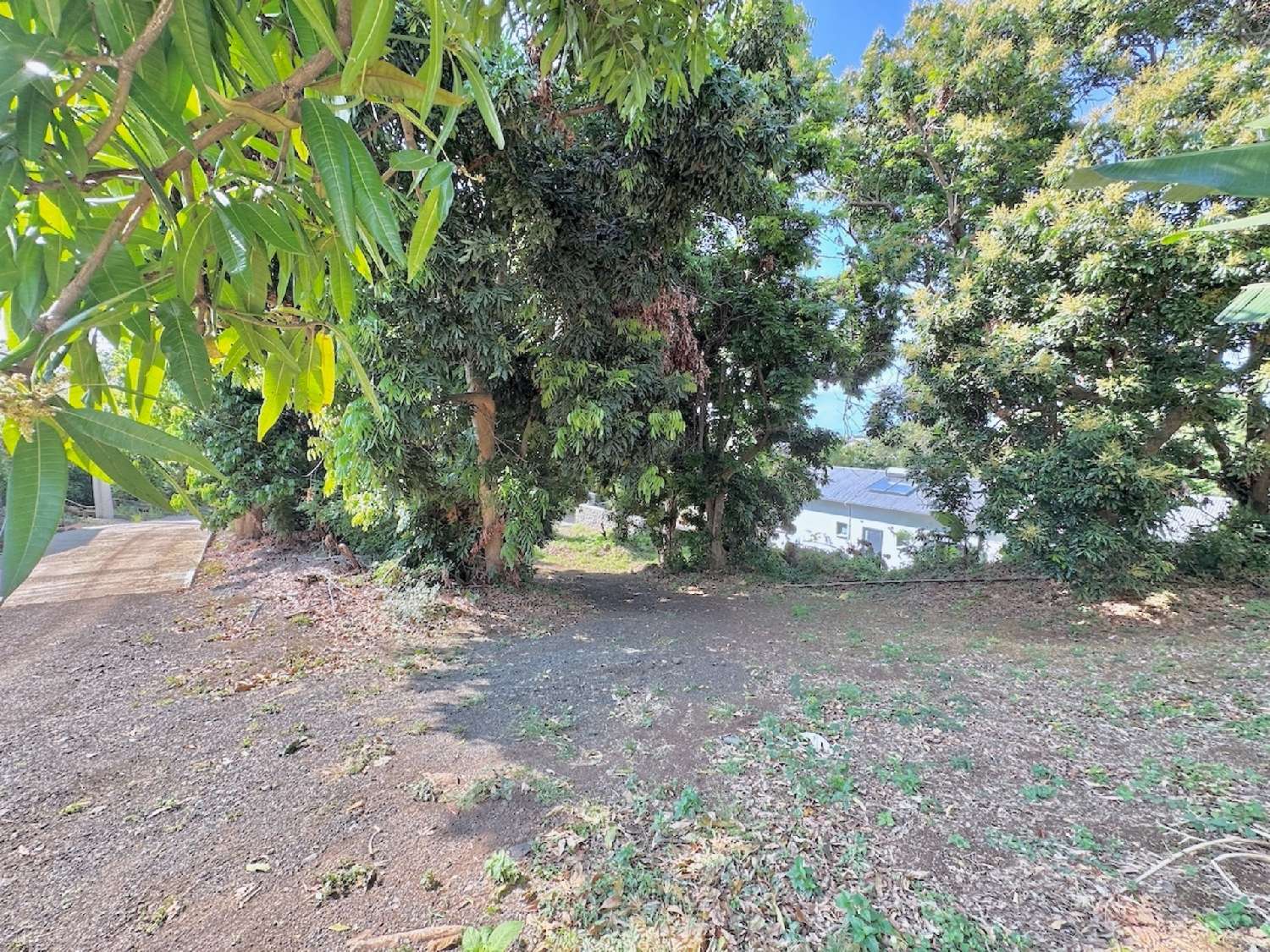 en venta terreno Saint-Louis La Réunion 4