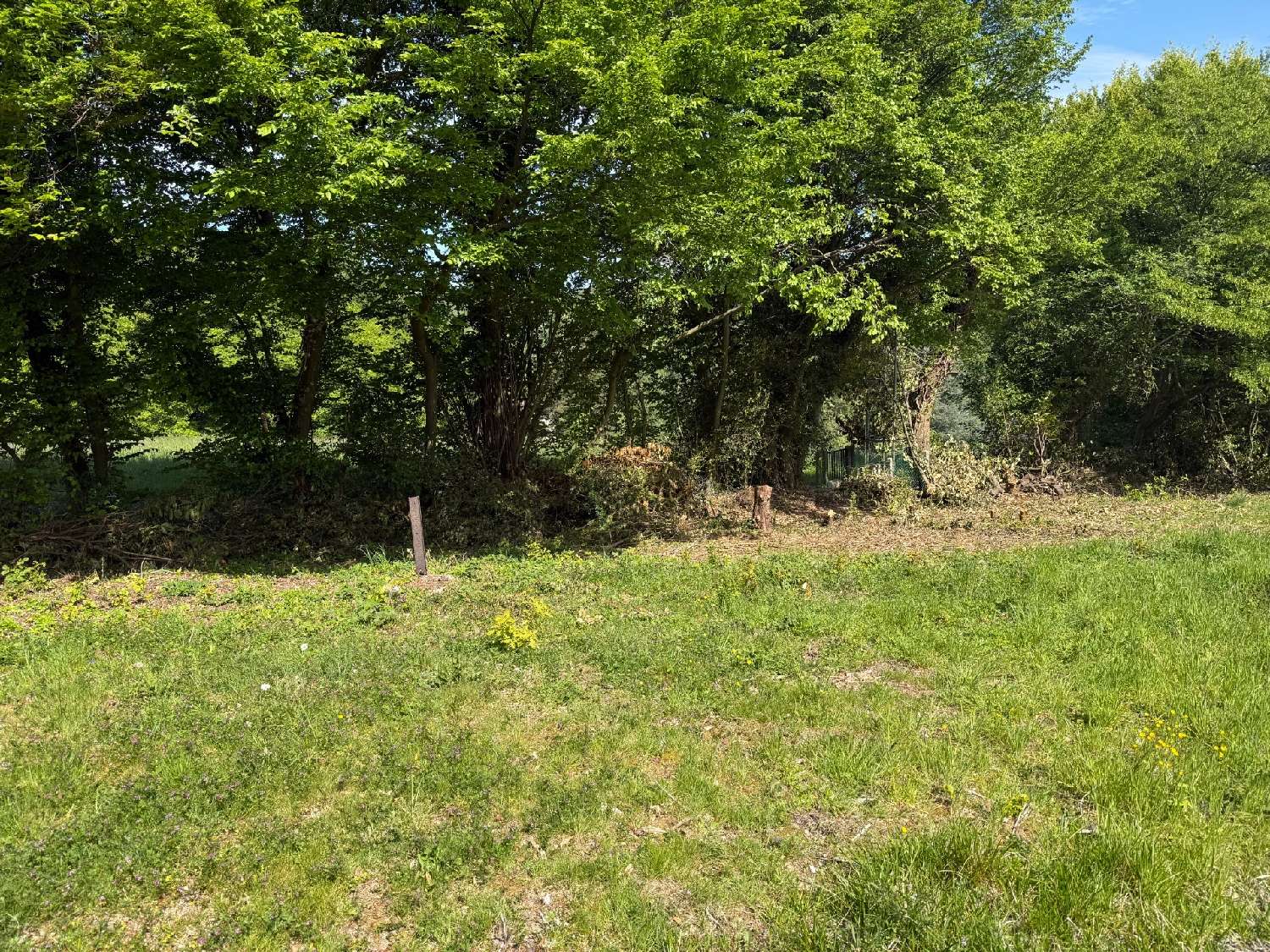 for sale terrain Saint-Martin-du-Vivier Seine-Maritime 3