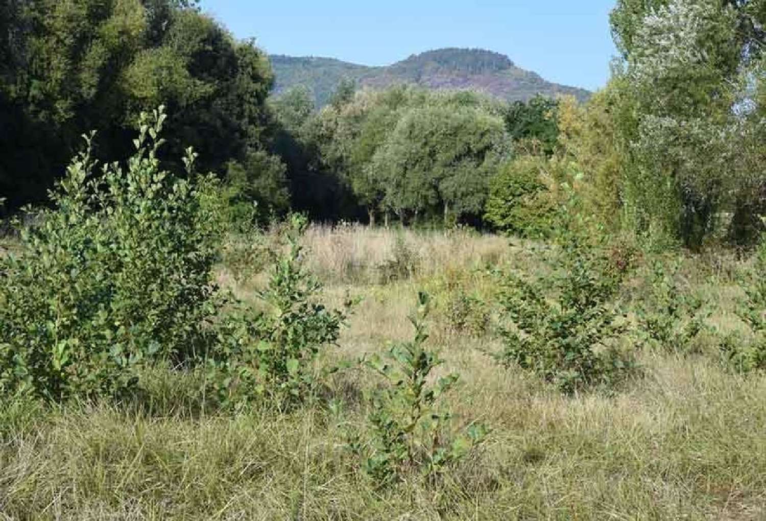  kaufen Grundstück Saint-Maximin-la-Sainte-Baume Var 1