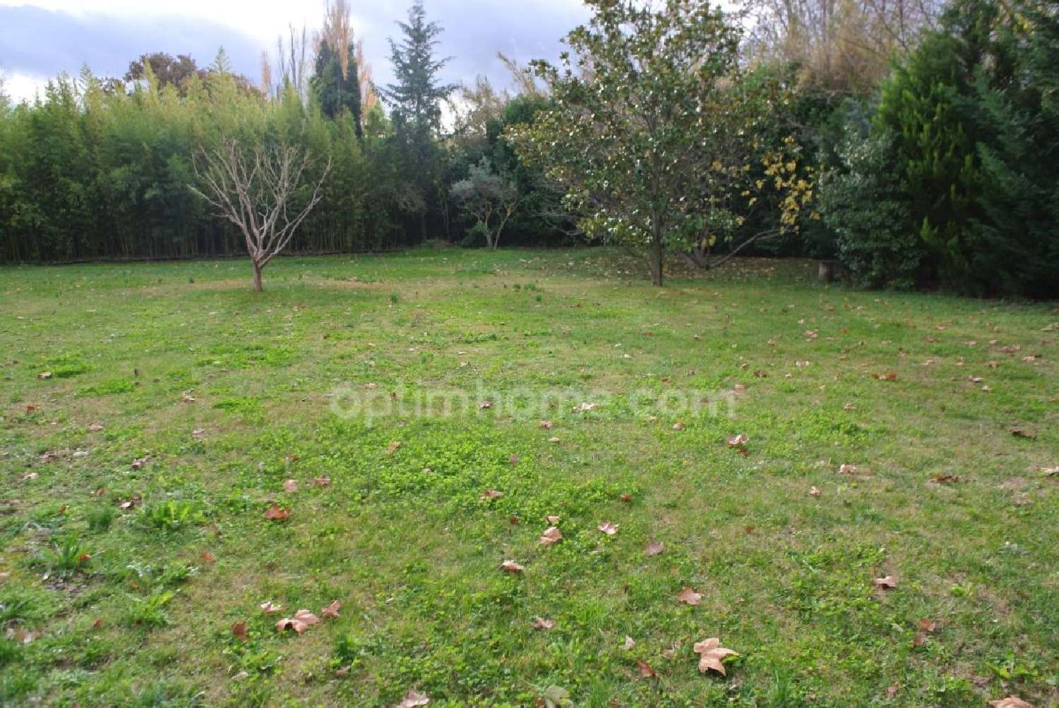 te koop terrein Saint-Rémy-de-Provence Bouches-du-Rhône 1