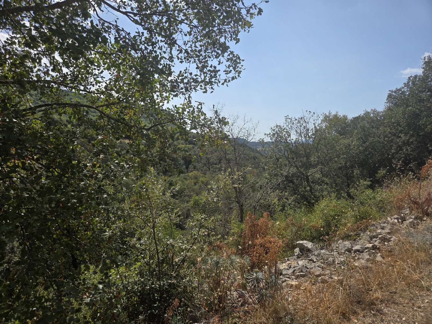 à vendre terrain Saint-Saturnin-lès-Apt Vaucluse 5