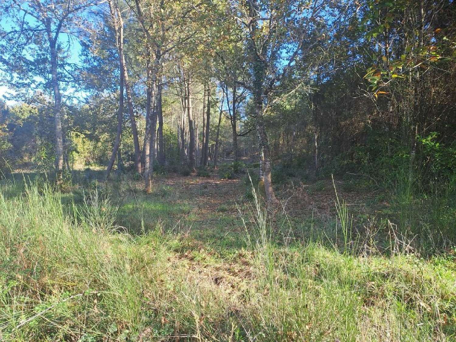  te koop terrein Saint-Sauveur Gironde 1