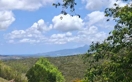 Sainte-Luce Martinique terrain foto 7407460