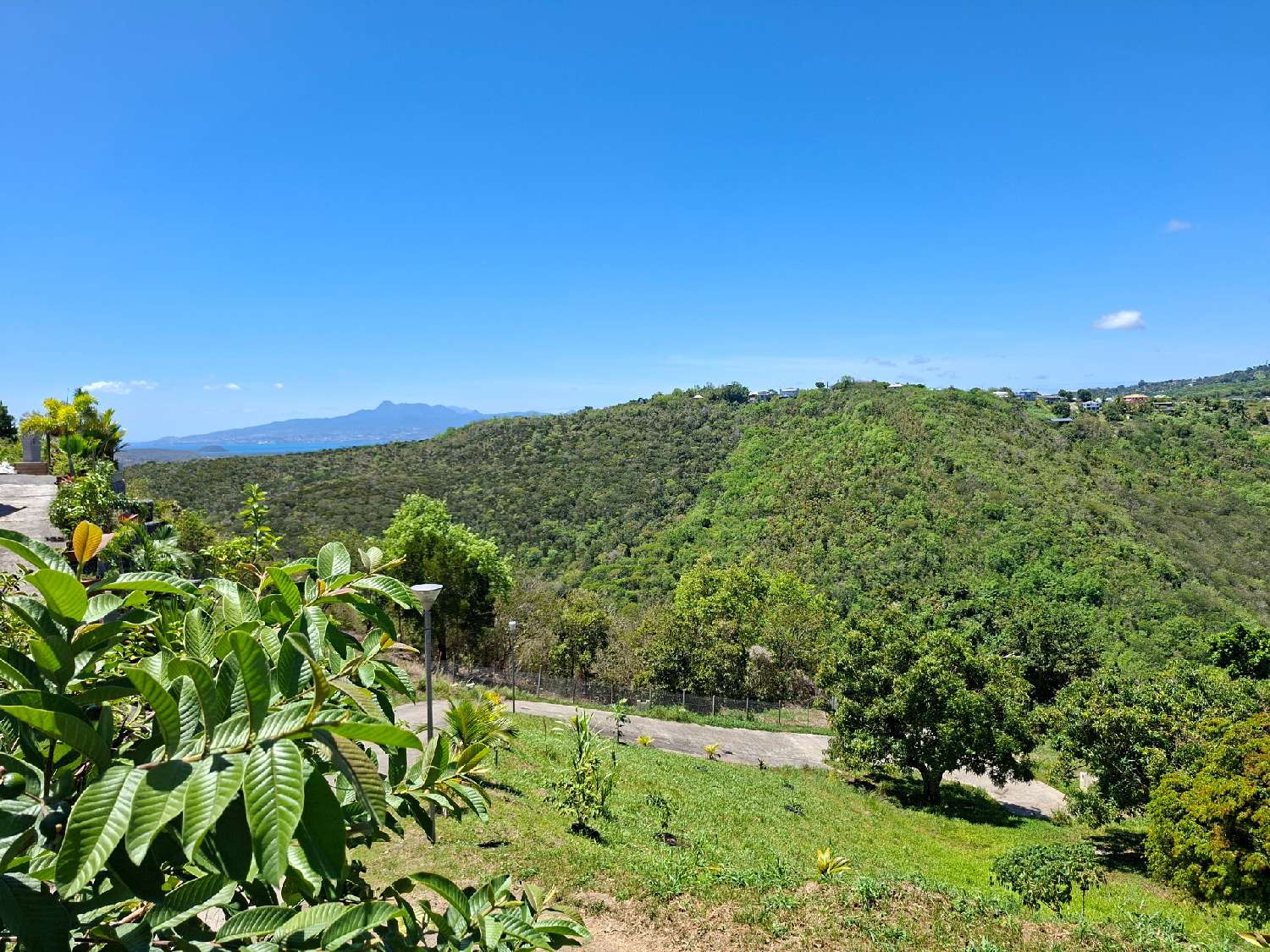 à vendre terrain Sainte-Luce Martinique 3