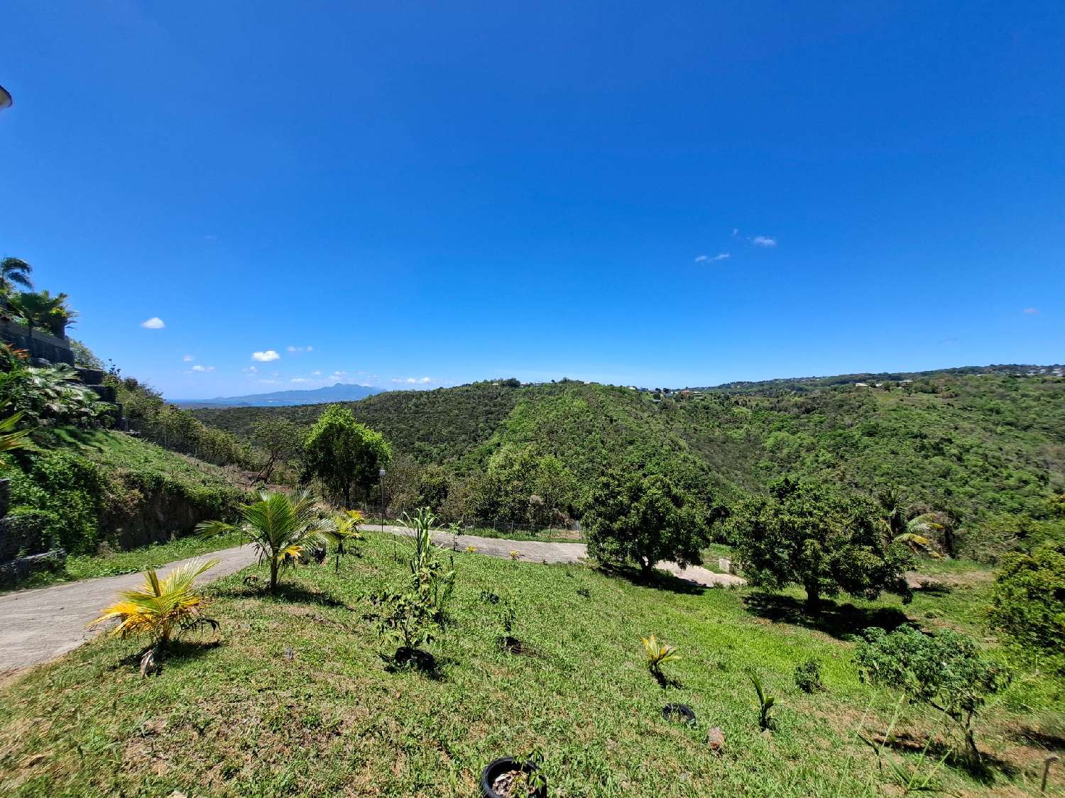 à vendre terrain Sainte-Luce Martinique 5