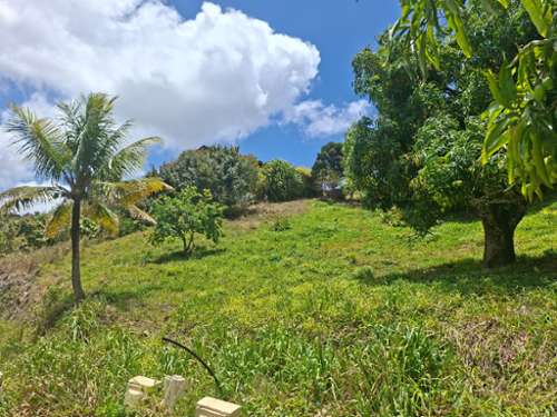 Sainte-Luce Martinique terrain foto 7407461