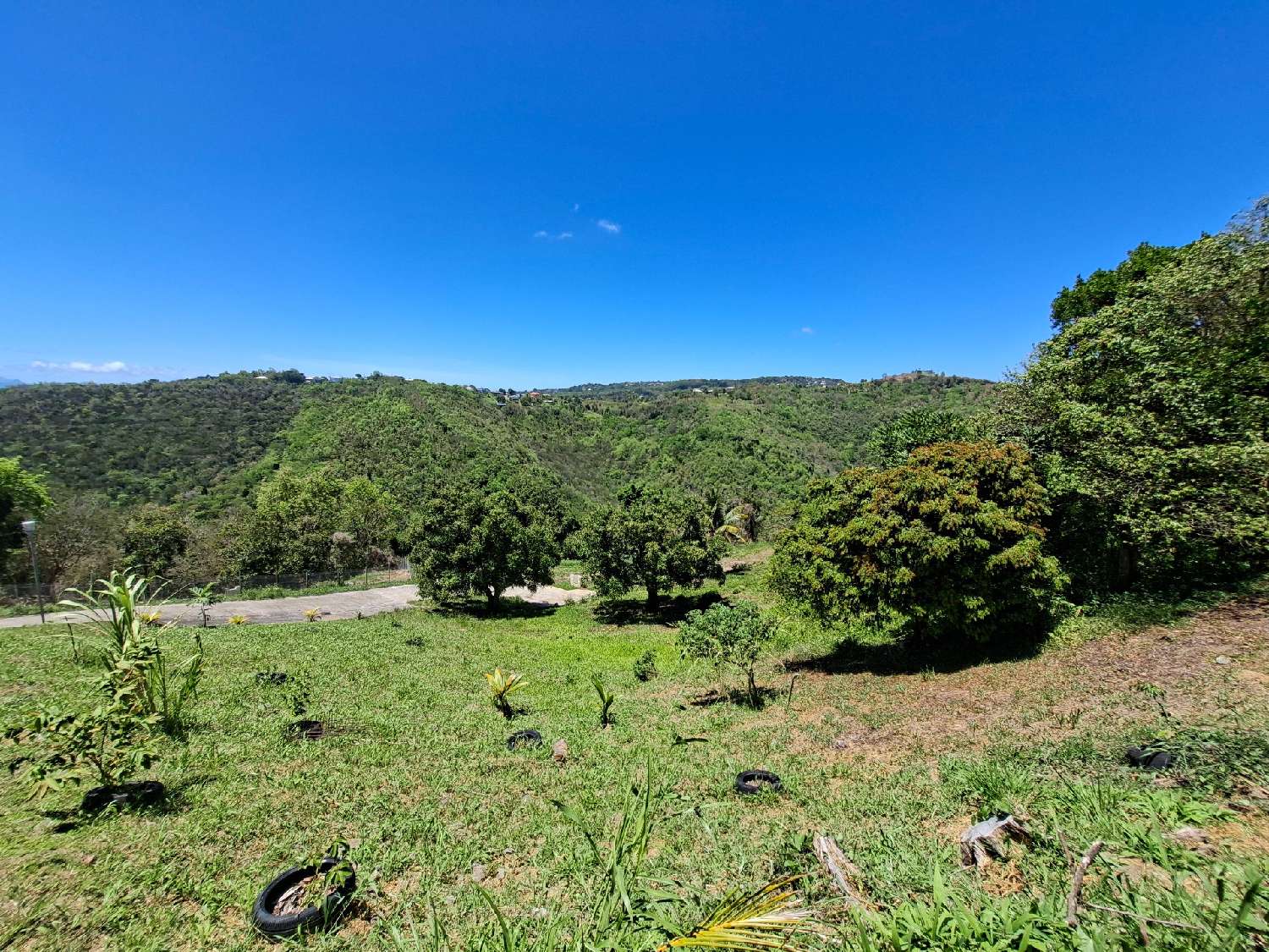 à vendre terrain Sainte-Luce Martinique 2
