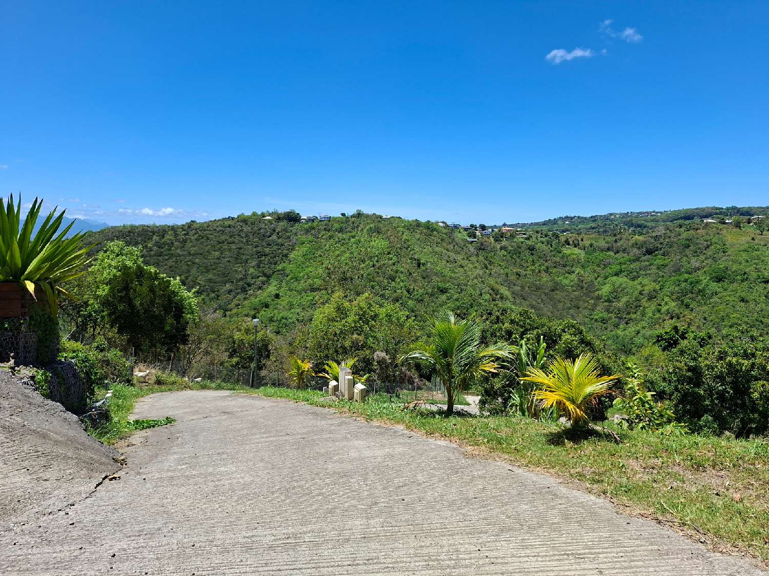 à vendre terrain Sainte-Luce Martinique 4