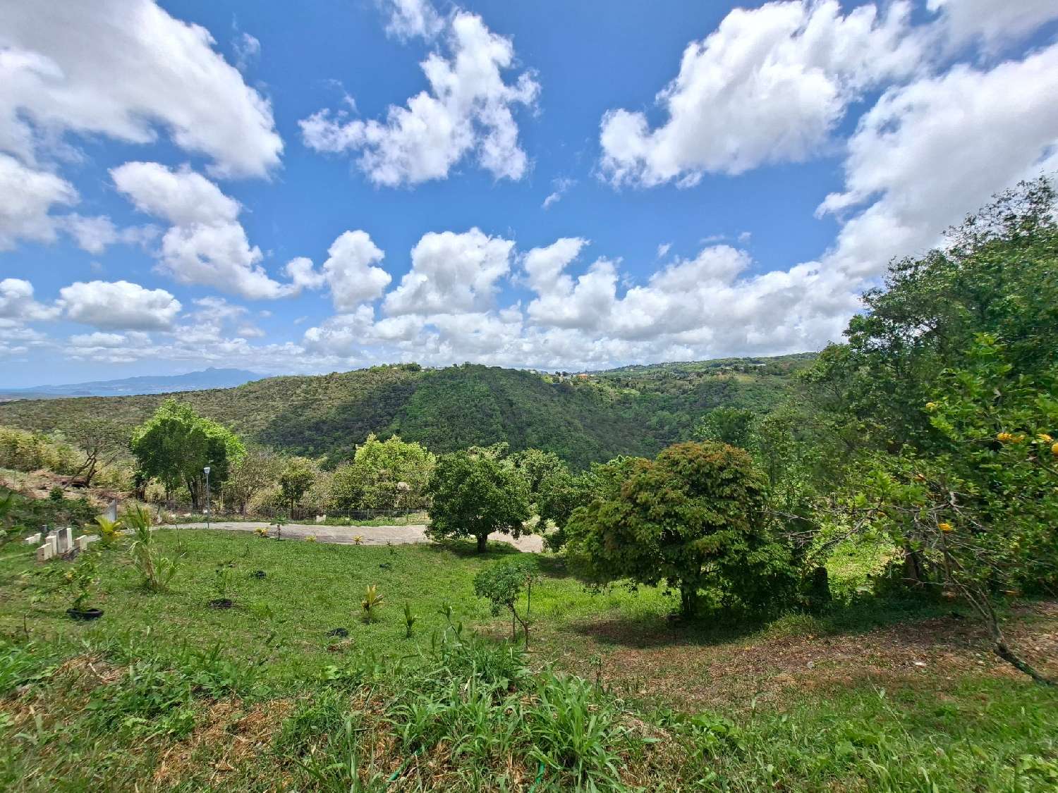 à vendre terrain Sainte-Luce Martinique 6