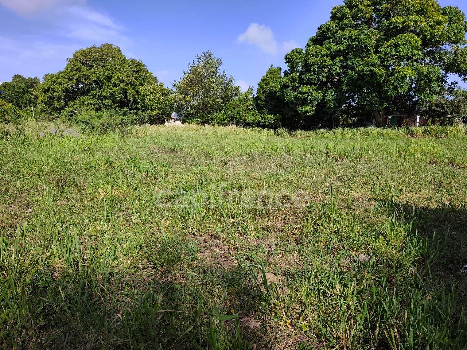 te koop terrein Sainte-Rose Guadeloupe 3
