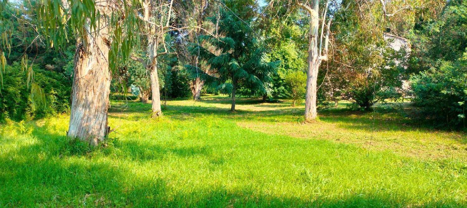  for sale terrain San-Nicolao Haute-Corse 3