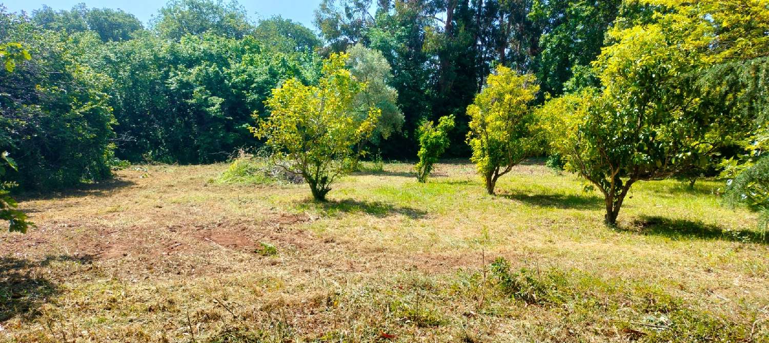 for sale terrain San-Nicolao Haute-Corse 4