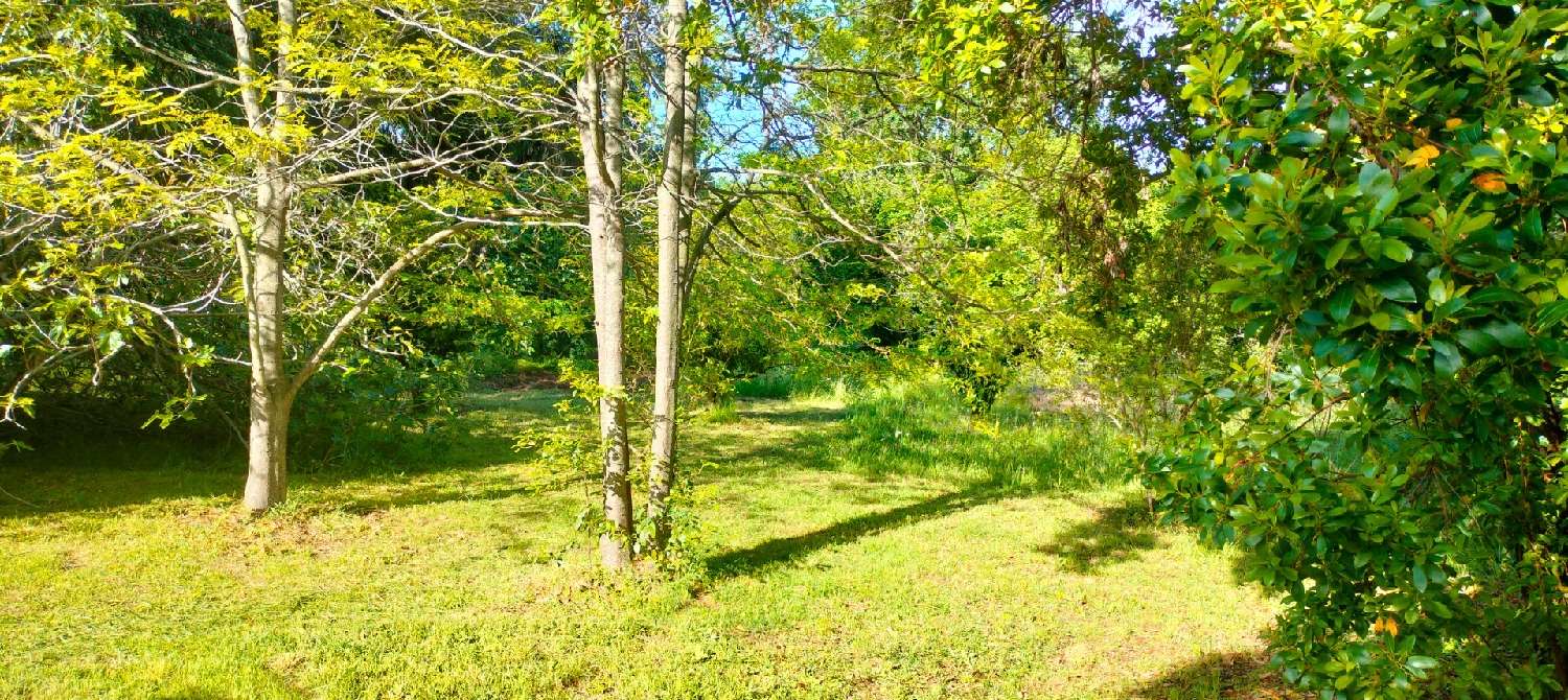  for sale terrain San-Nicolao Haute-Corse 5