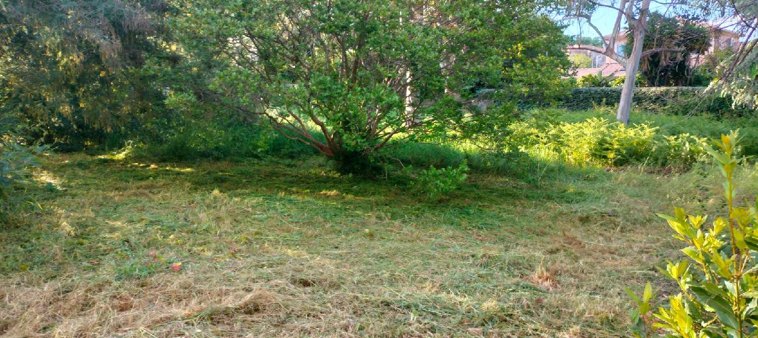 for sale terrain San-Nicolao Haute-Corse 7