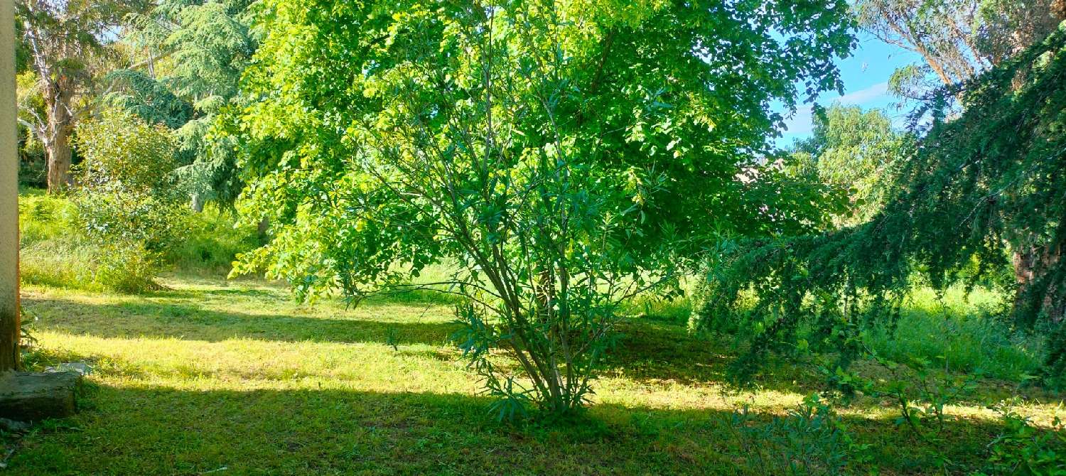  for sale terrain San-Nicolao Haute-Corse 8