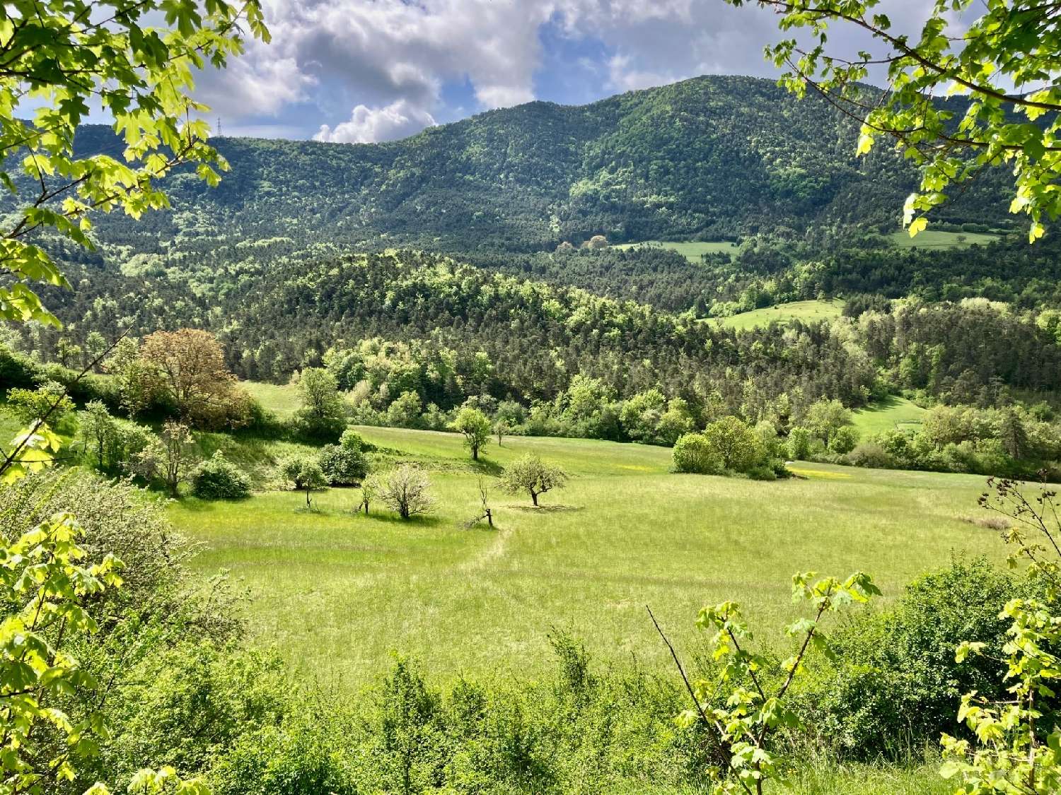  en venta terreno Sausses Alpes-de-Haute-Provence 1