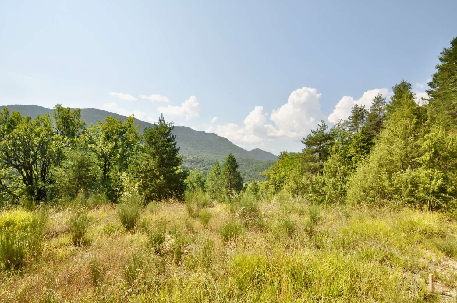  en venta terreno Sausses Alpes-de-Haute-Provence 4