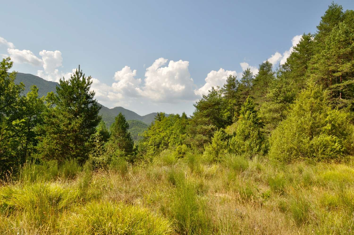  en venta terreno Sausses Alpes-de-Haute-Provence 5