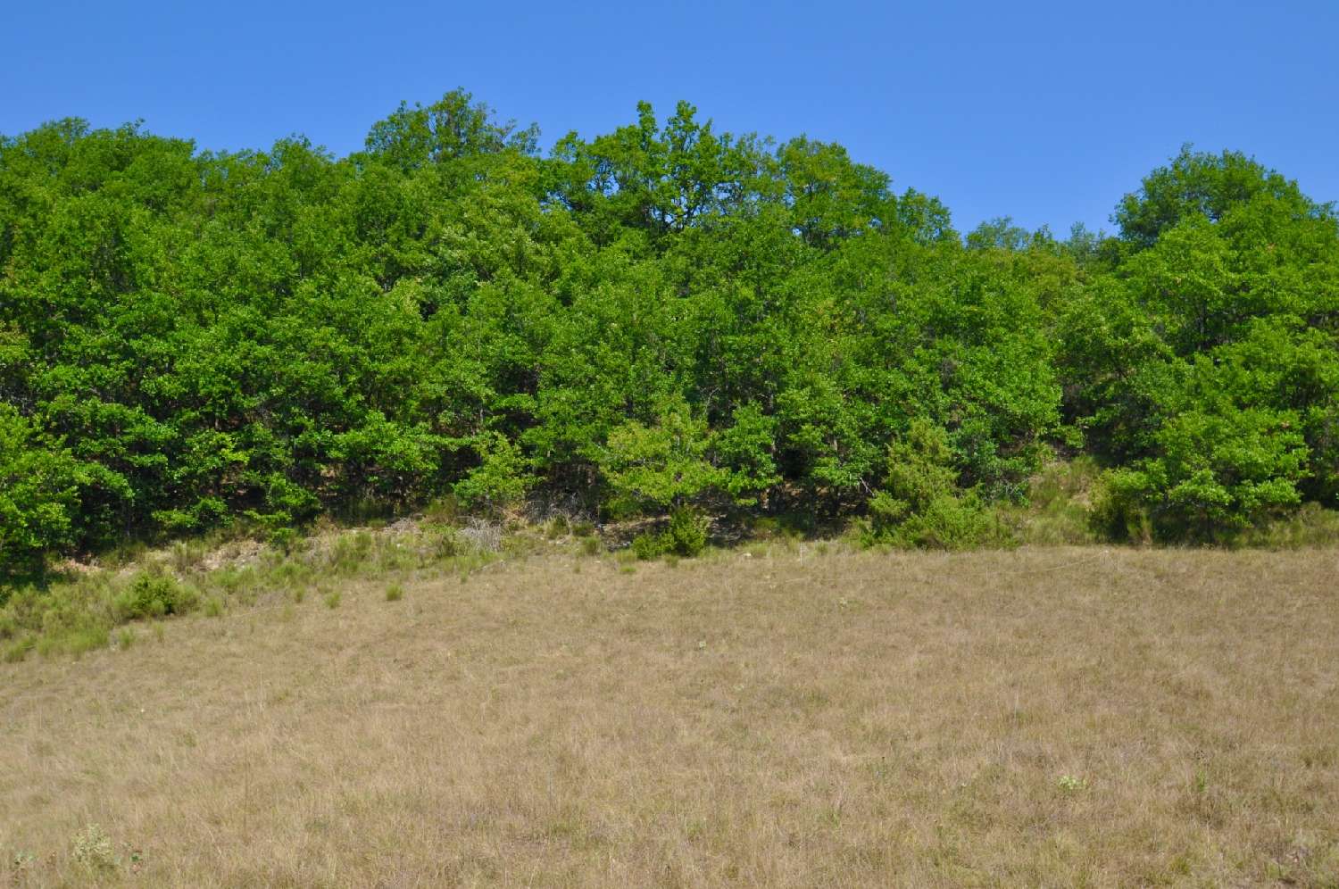 en venta terreno Sausses Alpes-de-Haute-Provence 6