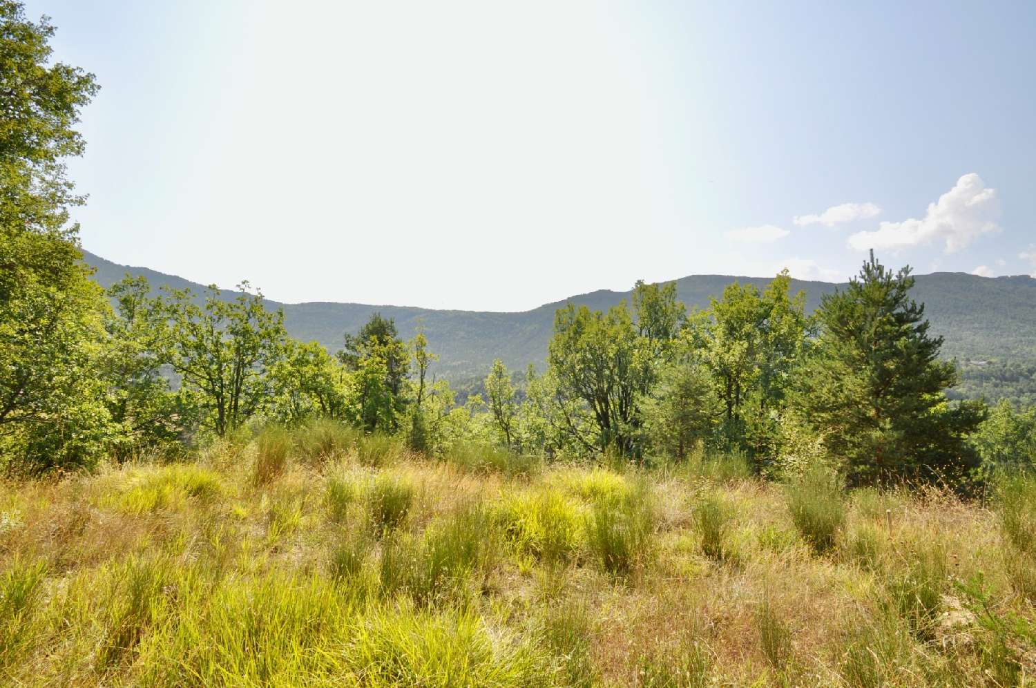 en venta terreno Sausses Alpes-de-Haute-Provence 7